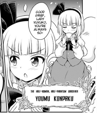 File:VFiS Youmu.jpg
