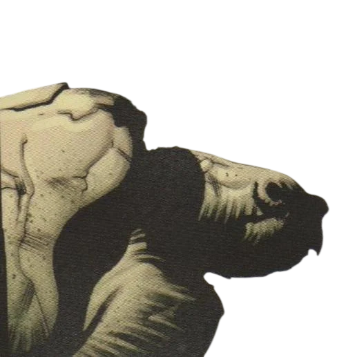 File:Maturin the Turtle2.png