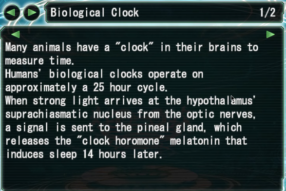 File:IOBiologicalClockExplanation1.png
