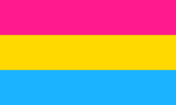File:Pansexual Flag.png