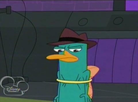 File:Perry in hoop.png
