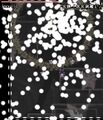 Thumbnail for version as of 20:07, 28 October 2026