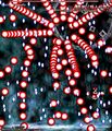 Thumbnail for version as of 23:01, 15 June 2026