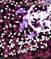Thumbnail for version as of 23:01, 15 June 2026