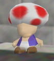 Faceless Toad
