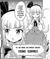 Youmu in Visionary Fairies in Shrine