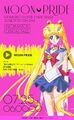 A picture of Sailor Moon on an advertisement for the MOON PRIDE CD.
