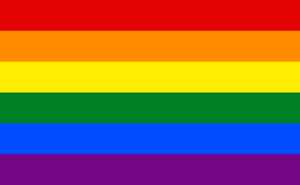 Gay Pride Flag.png