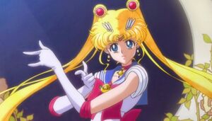 Sailor Moon Crystal - fig8.jpg