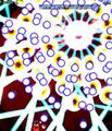 Thumbnail for version as of 00:48, 14 May 2026
