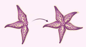 Regeneration