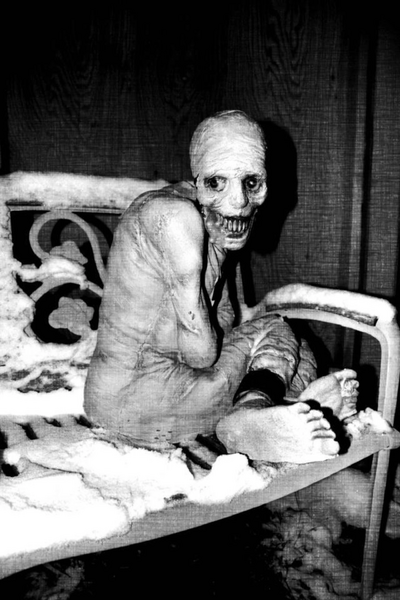File:TestSubjectsRussianSleepExperiment.png