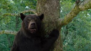 Cocaine-bear-image-2-in-cinemas-february-24-1677085559.jpg