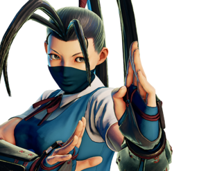 Ibuki Mugshot.png