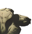 Thumbnail for version as of 15:11, 8 September 2026