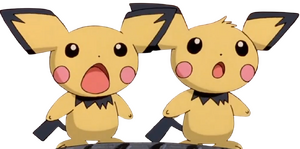 Pichu Brothers