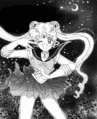 Sailor Moon introduces herself for the first time in Act 1.