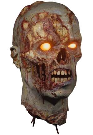 ZombieHead BOCW.png