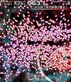 Thumbnail for version as of 23:17, 15 June 2026