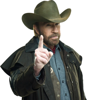 Chuck norris PNG10.png