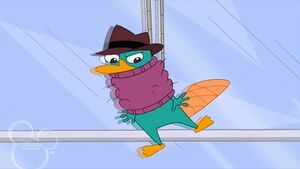 Legwarmer trapped perry.jpg