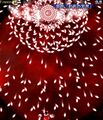 Thumbnail for version as of 00:48, 14 May 2026
