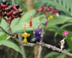 A group artwork of the Pikmin family on a tree branch and leaves.