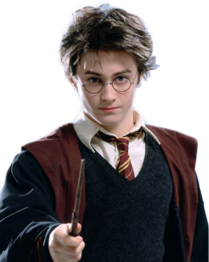 Goblet of fire harry potter.png