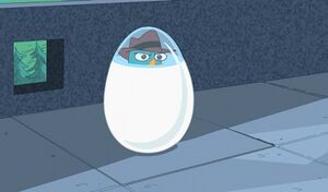 Egg trapped perry.jpg