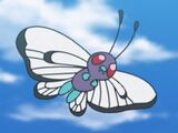 Butterfree