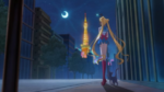 Sailor Moon standing along with Luna in the night.