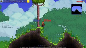 Terraria width of tree COMPLETE.jpg