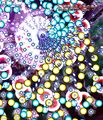Thumbnail for version as of 16:03, 25 June 2026