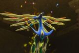 Xerneas