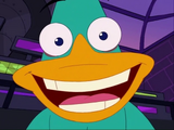 Doofapus closeup