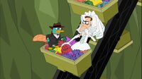 Doof in a wedding gown