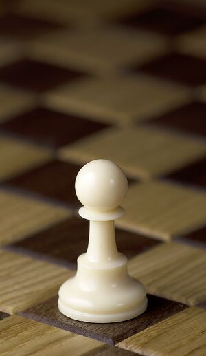 Chess pawn.jpeg