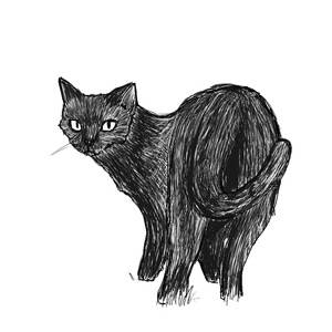 Black Cat (The Witch's House)