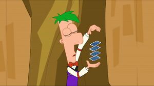 Ferb with playing cards 1.jpg