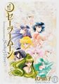 The Sailor Senshi on the Kanzeban manga cover, volume 10