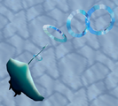 Manta Ray