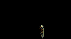 SOTN Skull Shield Special.gif