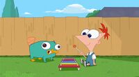 Baby Perry and Phineas