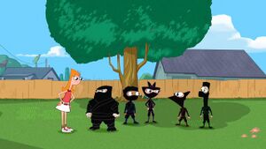 PnF Ninjas.jpg