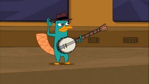 Perry the banjo-playing platypus.jpg