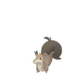 Skwovet's model in Pokémon GO