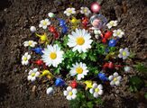 Pikmin and Olimar circling a small patch of daisies.