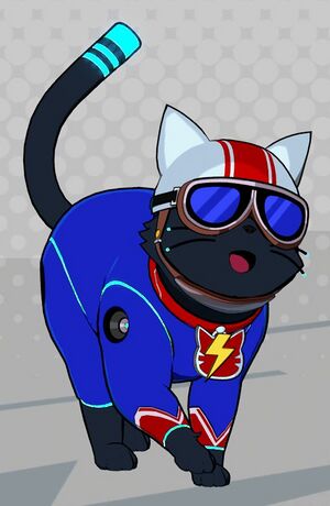 Supercat.JPG.jpg