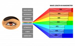 Visible-light-spectrum-template 53562-9303.jpg