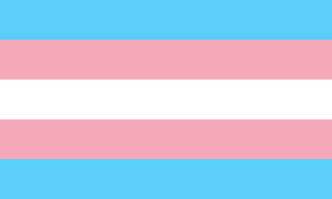 Transgender Pride flag.svg.png